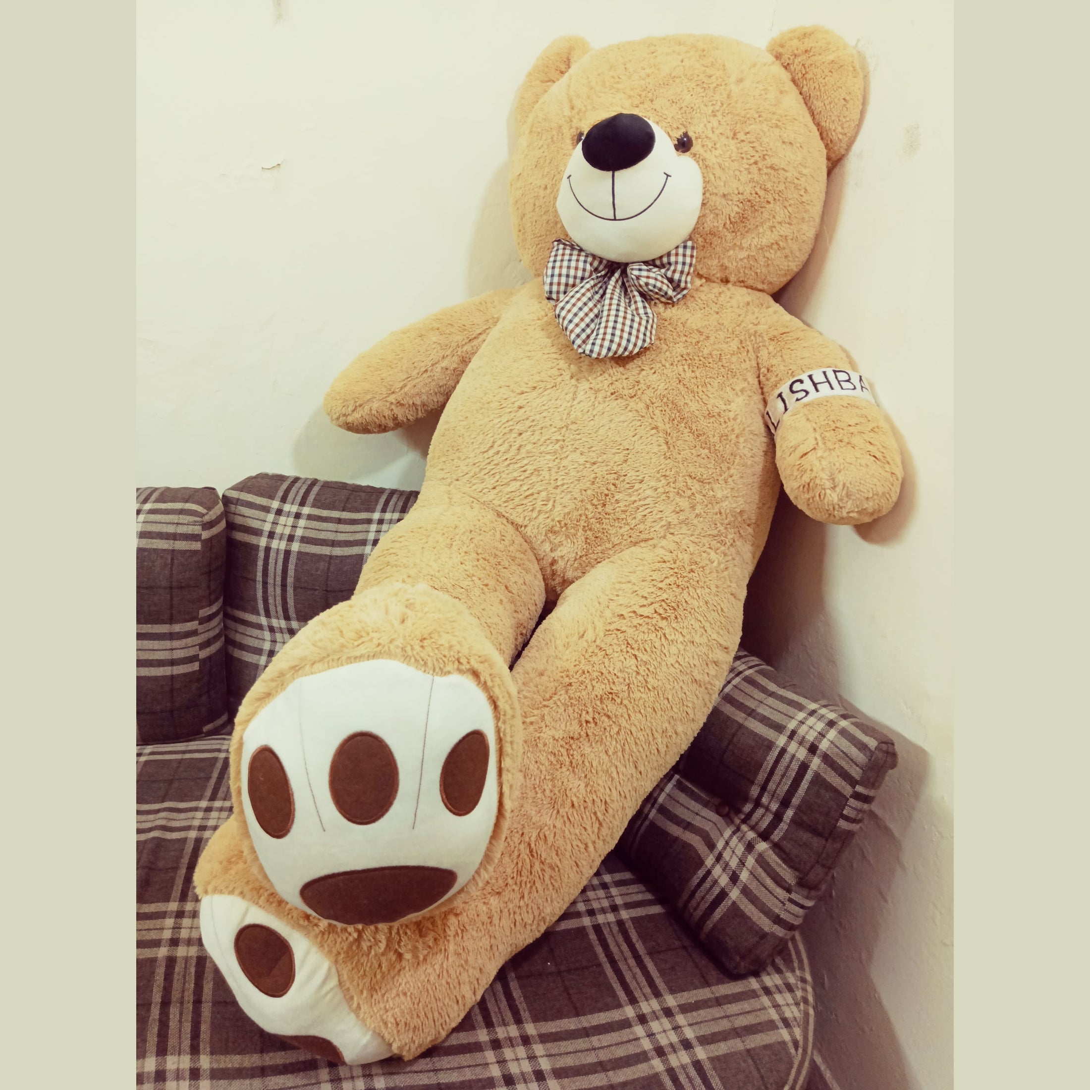 American Bear