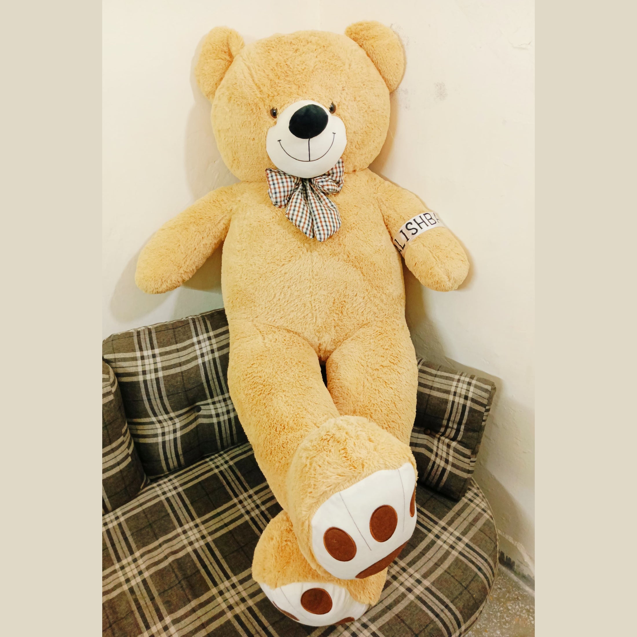 American Bear